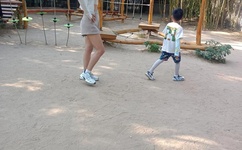 2021不良正能量免费网站